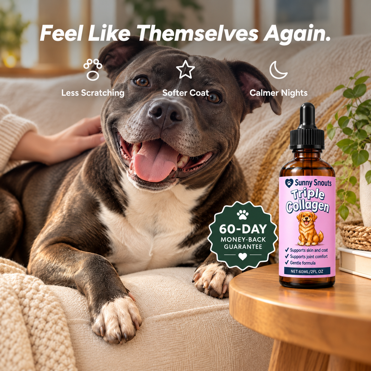 Sunny Snouts Collagen for Dogs
